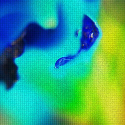 Fine Art Photography - Digital paintings - Products