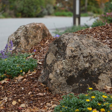 Los Gatos Front Yard Lounge
