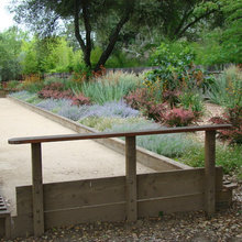 Bocce Ball
