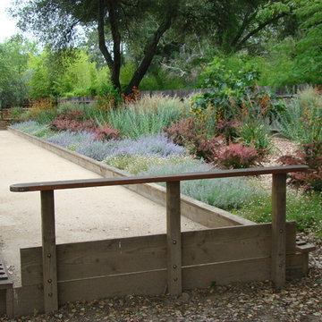 Bocce Ball Courts