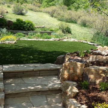 A Foxy Colorado Stream