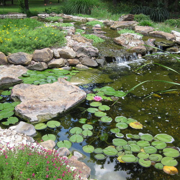2009 Texas Nursery & Landscaping Award Winner
