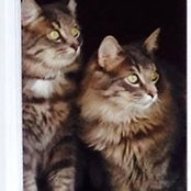 Marie-anne Gauthier's photo