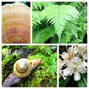 Nina Schilling's photo