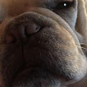 Jordan Jenness's photo