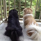 Ann Kotelman's photo