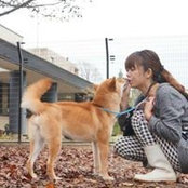 Foto von Asami Ino