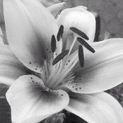 Louise Hatfield's photo