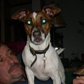 Tammy Talbot's photo