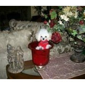 Sharon Wittig's photo