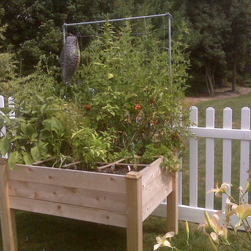 Vegetable & Herb Gardens