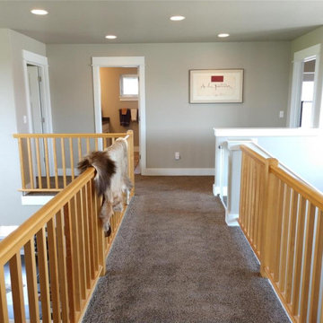 Arrow Spec Home