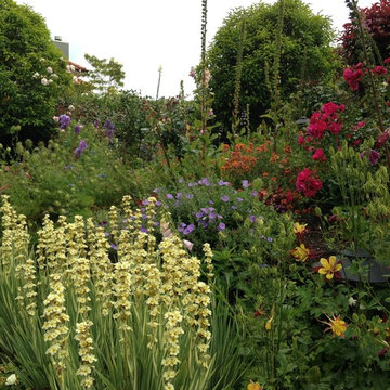 A Romantic Garden
