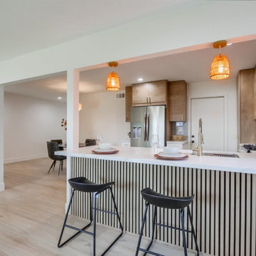 2023 Santee remodel