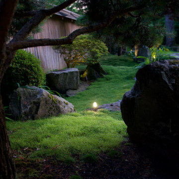 Moss gardens