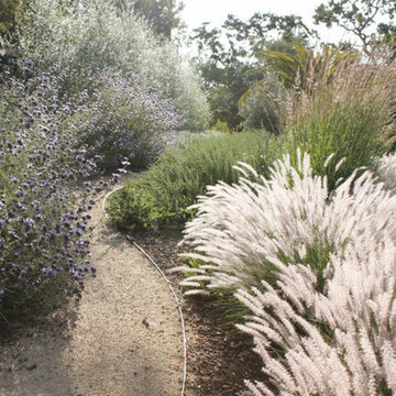 Los Altos Hills