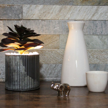 Lumiere - Illuminated Succulents, Eggplant Echeveria in Tin
