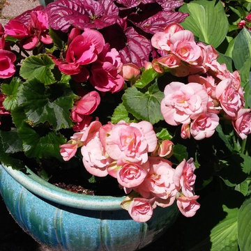 Plantings