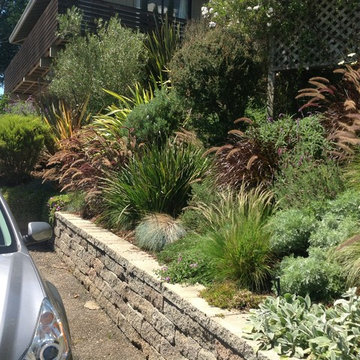 Landscape Design & Installation