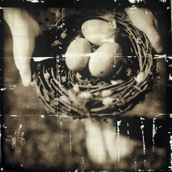 Nest Eggs - Products
