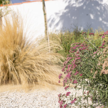 Jardin bord de mer - Farniente en Ré