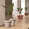 Crescent Garden Brunello Classic Rolled-Rim Planter, Weather Terracotta  20"