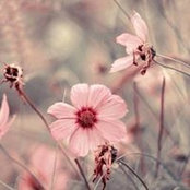 Photo de Rebecca Ann