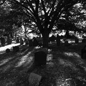 Sharon Vazquez's photo