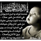 تاج الوقار's photo