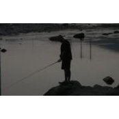 Alexander Burton's photo