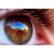 Tracy Brown's photo