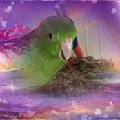 Laura Schuman's photo