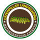 Caterpillar Landscaping, LLC