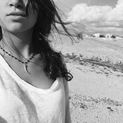 De Stein's photo