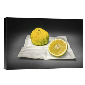 "Citrus" Stretched Canvas Giclee by Christophe Verot, 18x12"