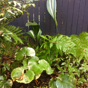 Shady Backyard Oasis