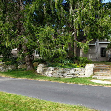 Design around existing trees