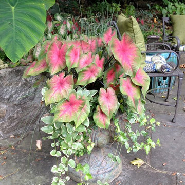 Clairvoyé Gardens & Landscape
