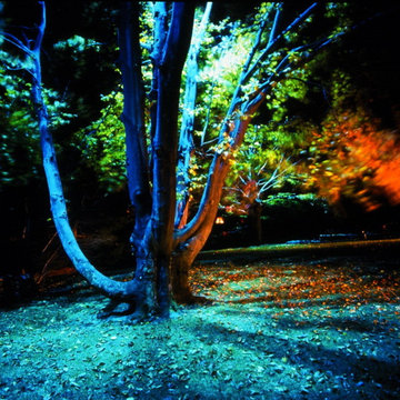 Landscape Lighting