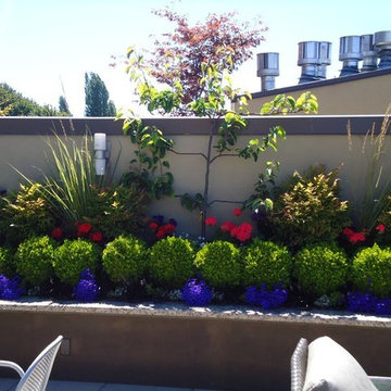 Our Work