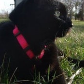 Jami Trenam's photo