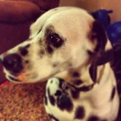 Jason Boone's photo