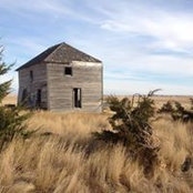 Pat Thomas's photo