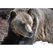 Michael Psaromatis's photo
