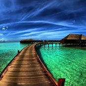 Igor Shamalov's photo