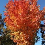 Kim Baltz's photo