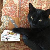 Michael Steinkoenig's photo