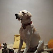 Amrita Sapre's photo