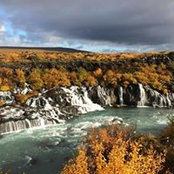 Angela Ling's photo