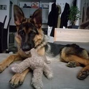 Foto von Char Lotte
